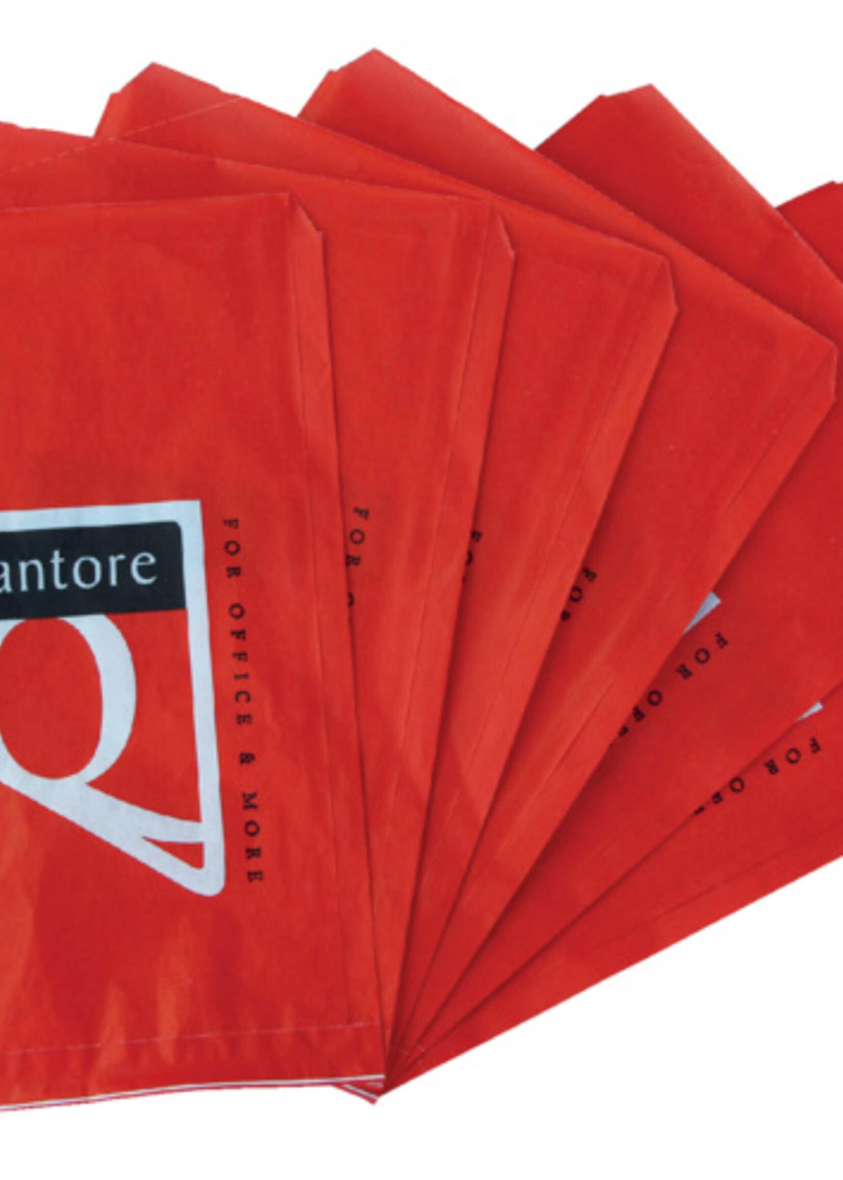 Quantore Quantore VERPAKZAK 260X360MM 1000STKS