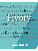 Aurora SYSTEEMKAART 80X130MM LIJN