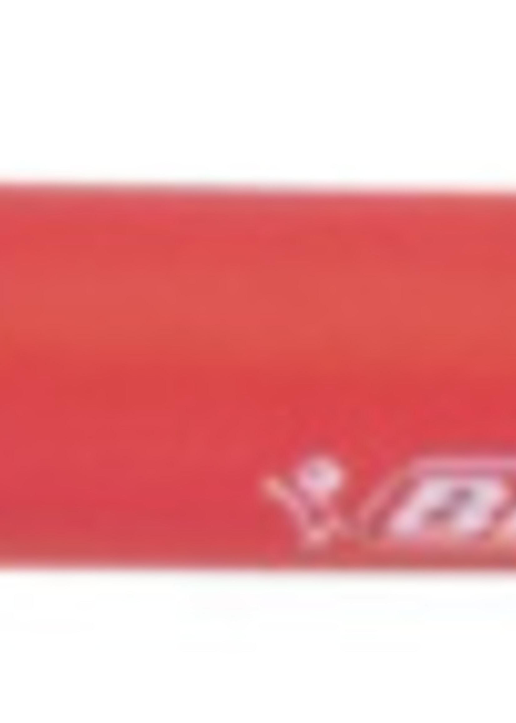 Bic Bic BALPEN SOFT FEEL CLIC RD