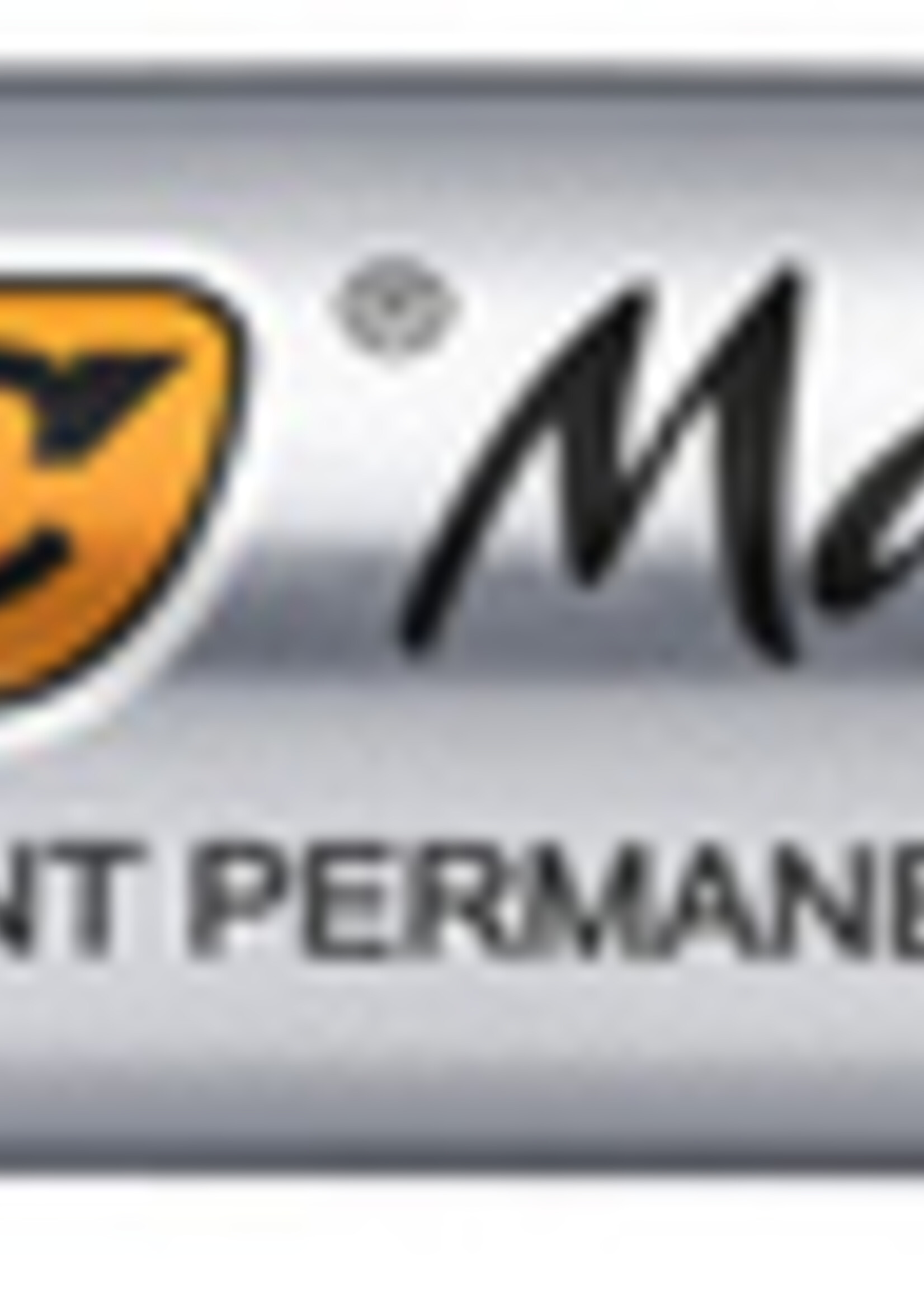 Bic Bic VILTSTIFT PRO ROND PERM ZW