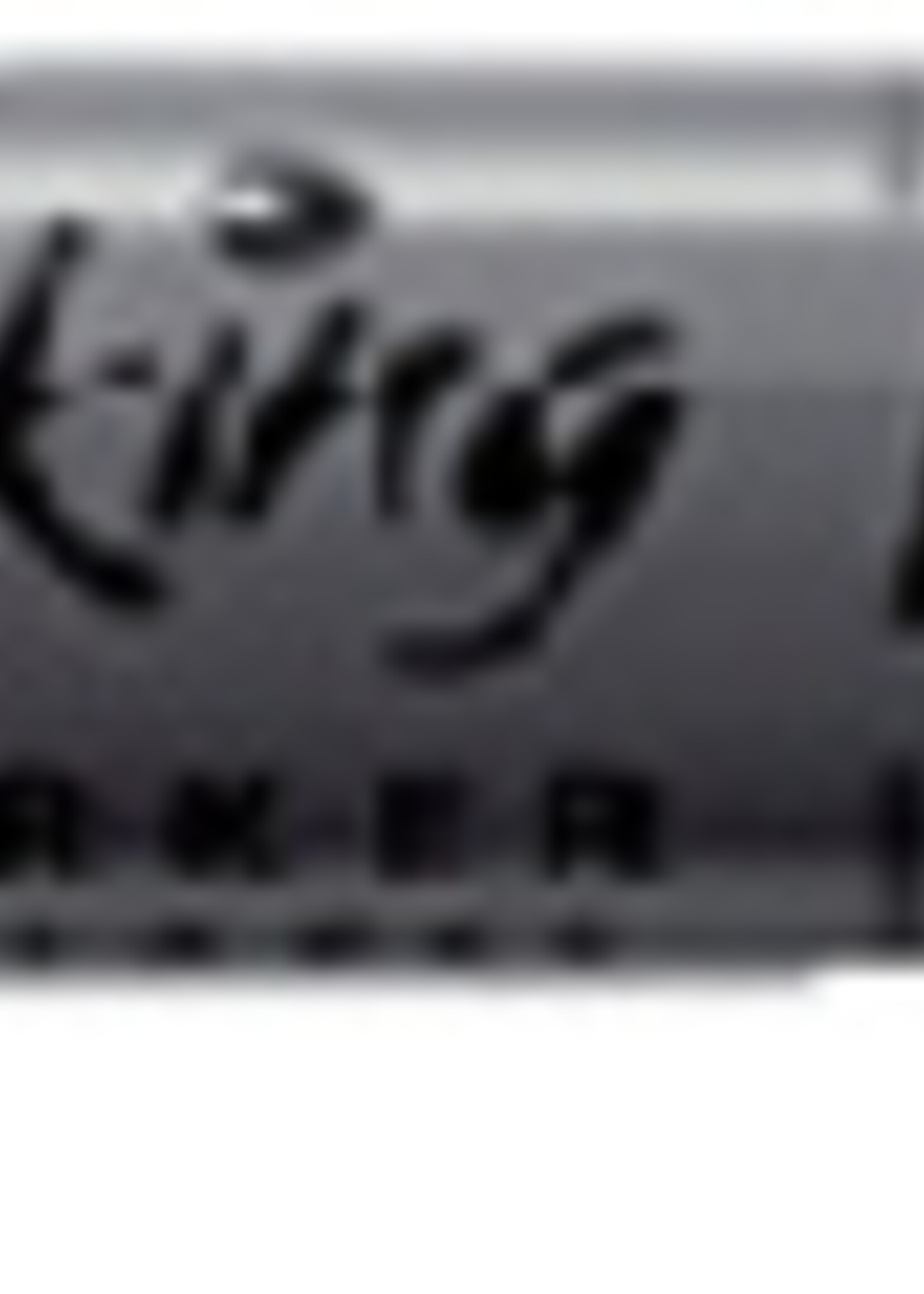 Bic Bic VILTSTIFT 1445 ROND BL