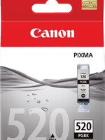 Canon INKCARTRIDGE PGI-520 ZW