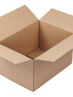 Cleverpack VERZENDDOOS KART 305X220X250MM 10STKS