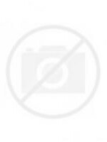 Budget VERHUISDOOS 480X320X360MM