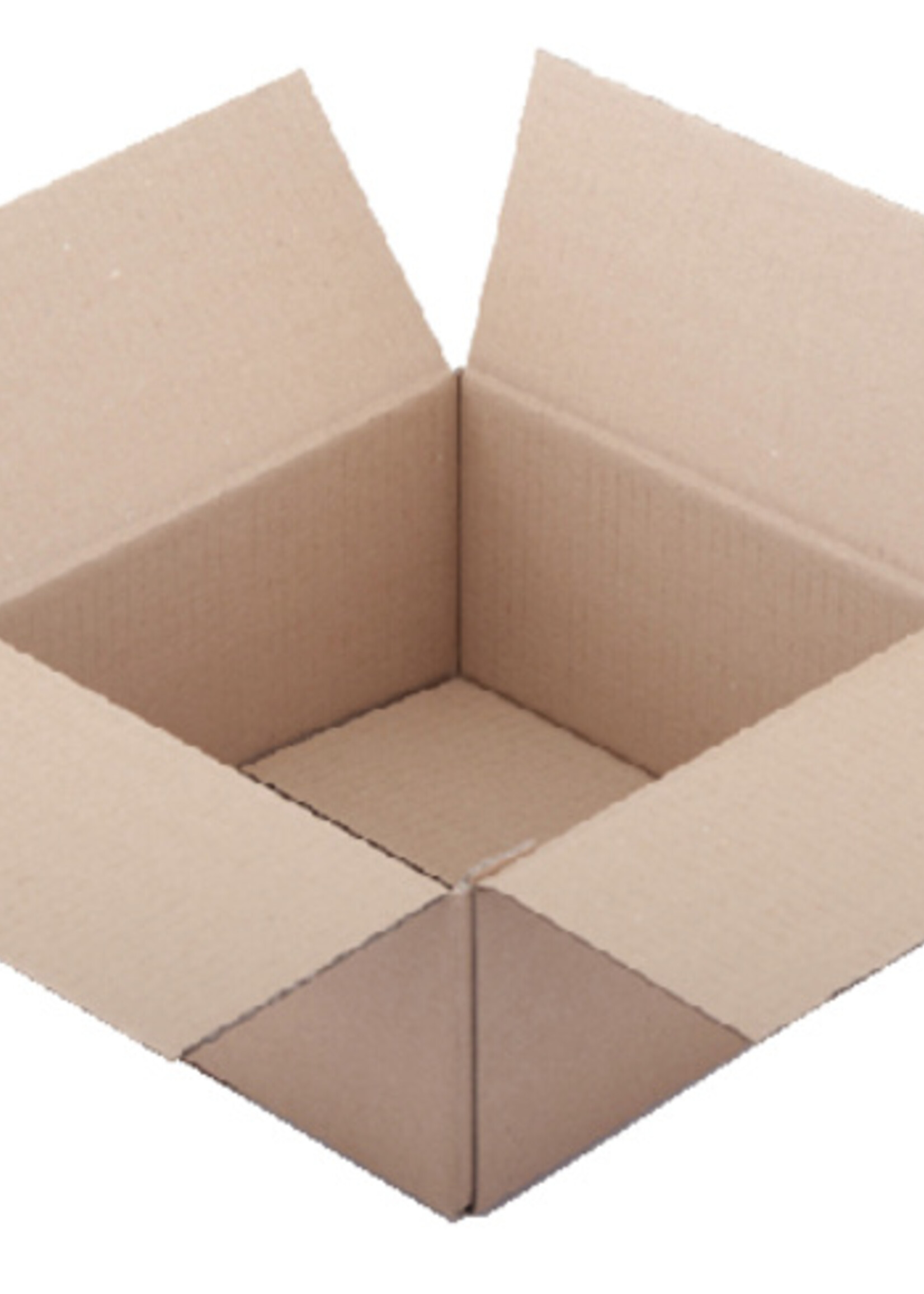 Budget Budget VERZENDDOOS 200X200X110