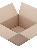 Budget VERZENDDOOS 305X220X250