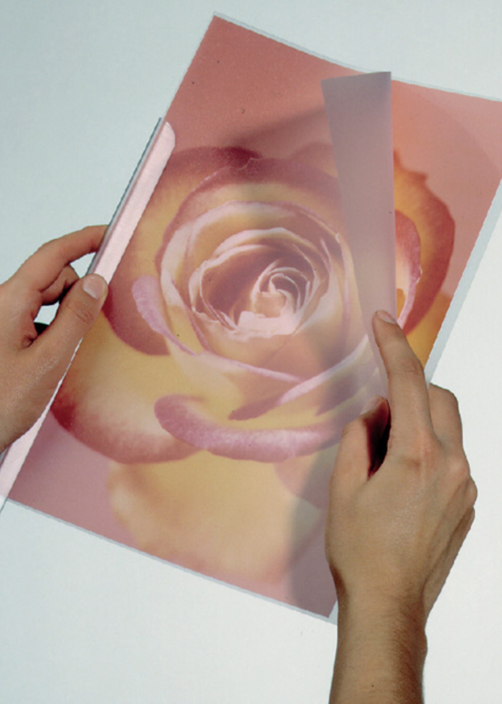 Durable Durable KLEMRUGHOES 2919 TR 50STKS