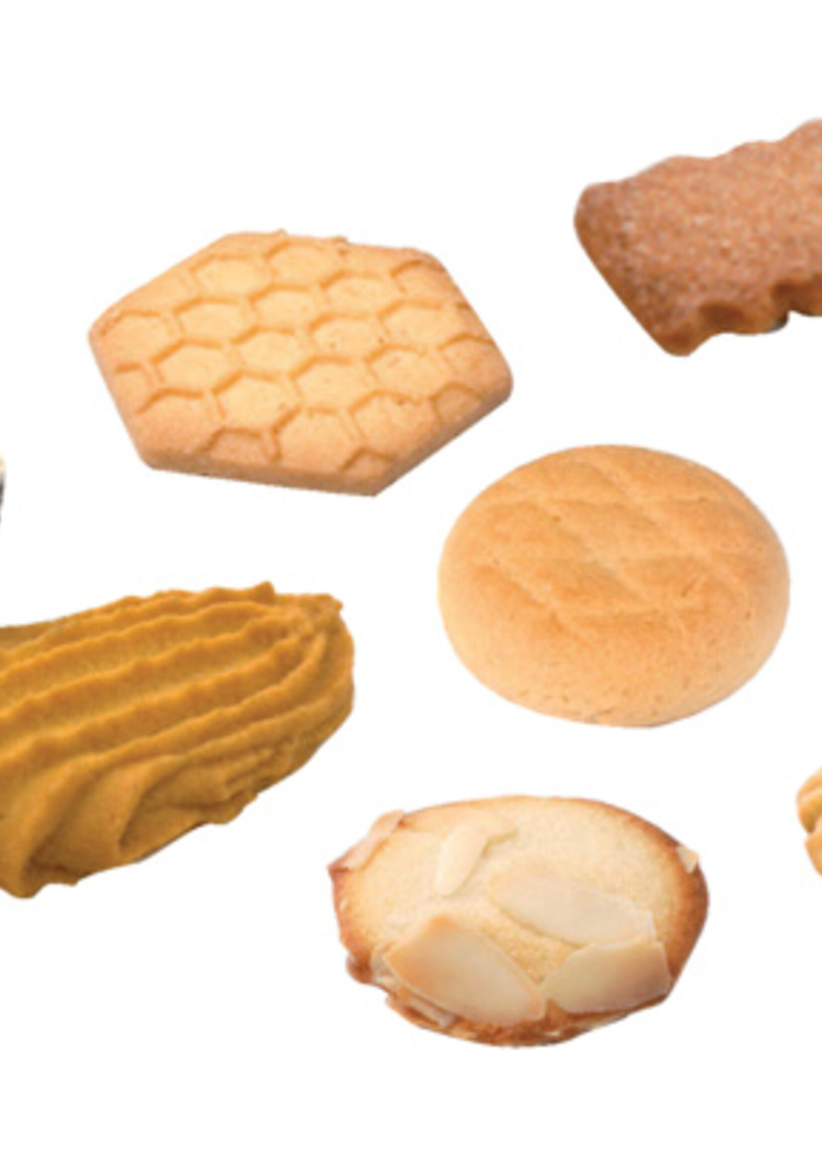 Elite Elite KOEK FANTASTIC ASSORTI 120STKS