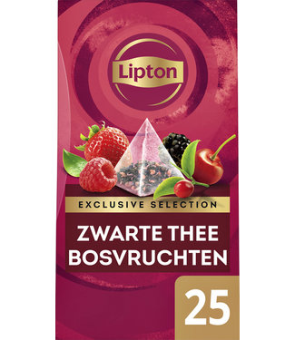 Lipton THEE EXCL BOSVRUCHTEN 25STKS