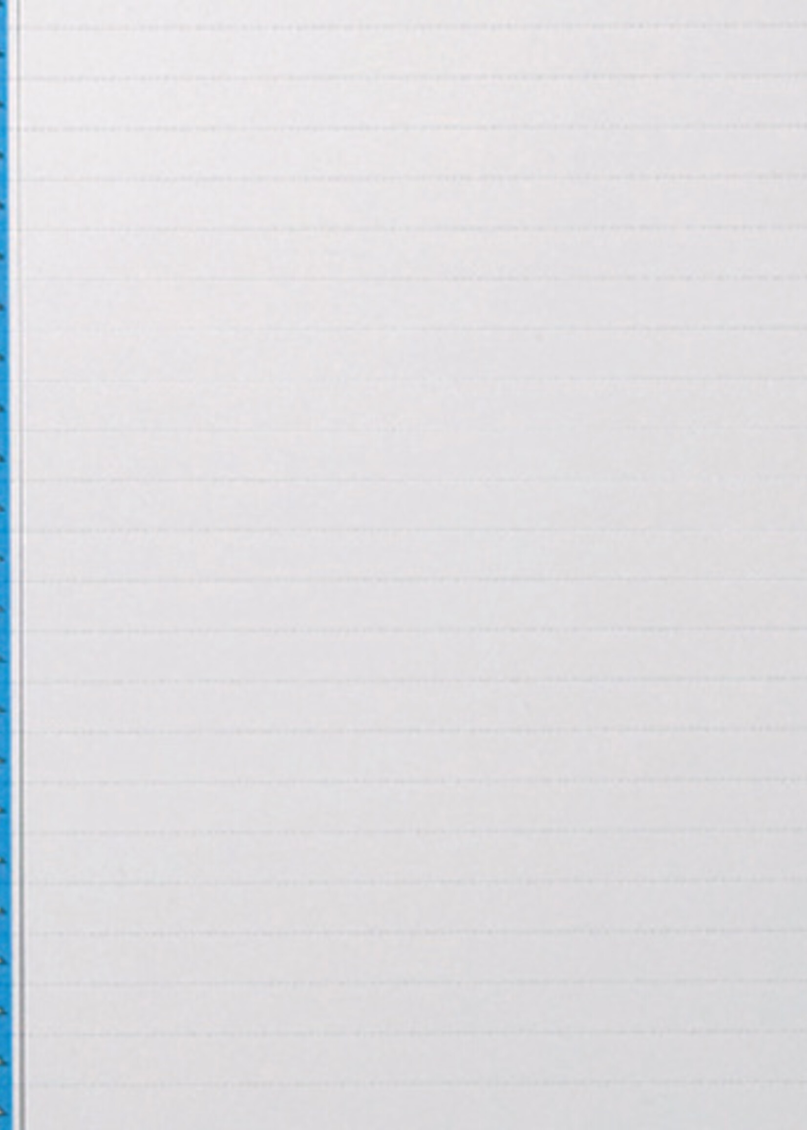 Elba Elba RUITERSTROOK NR 0 VERT BL 10STKS