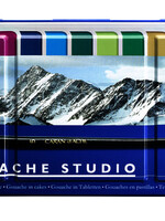 Caran d'ache PLAKKAATVERF ASS 15STKS