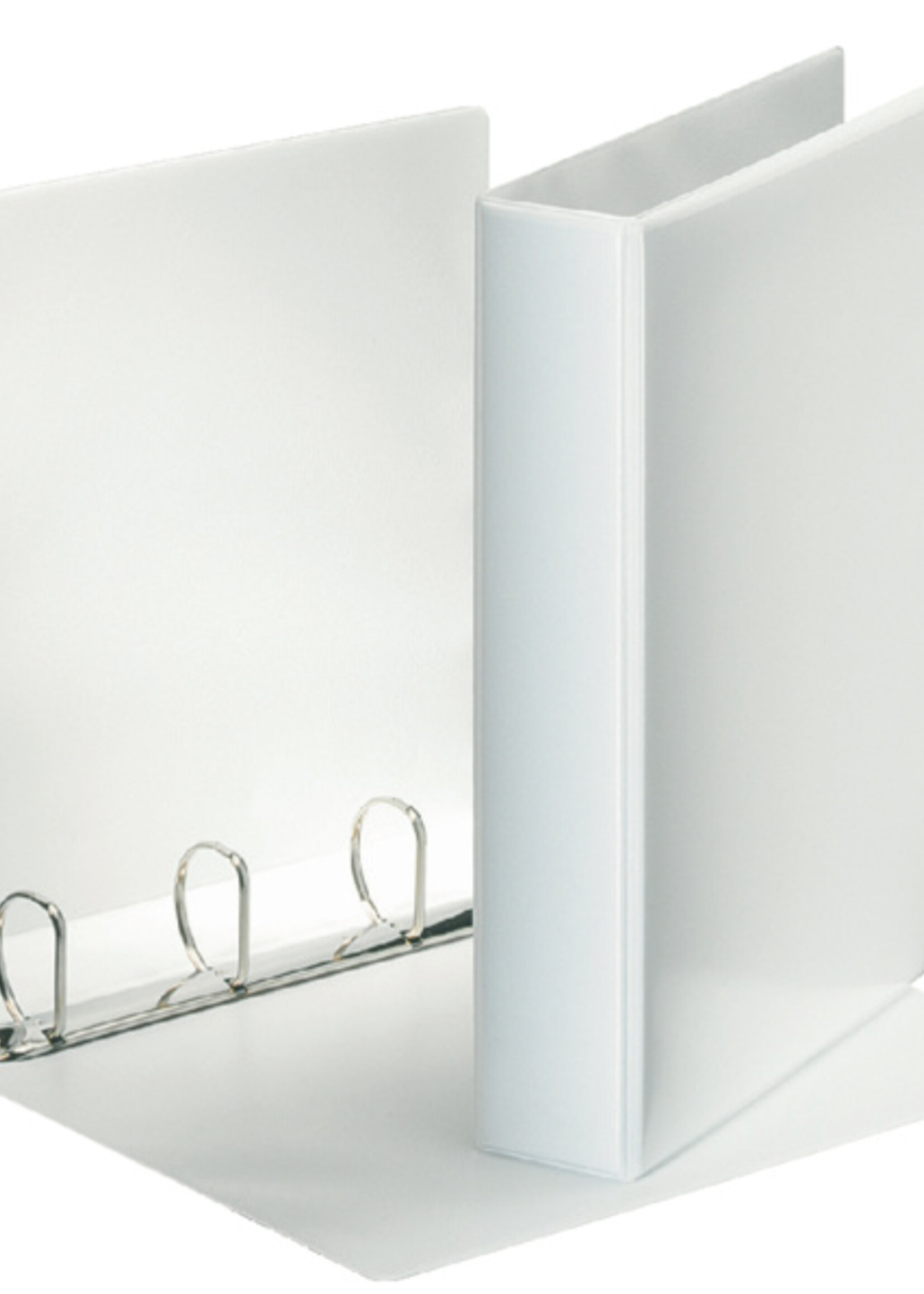 Esselte Esselte RINGBAND 4R 25MM D-MECH PAN W