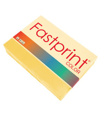 Fastprint KOPIEERPAPIER A4 80GR DGL 500V