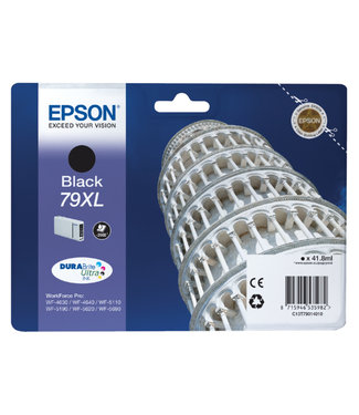 Epson INKCARTRIDGE T790140 HC ZW