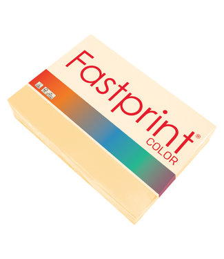 Fastprint KOPIEERPAPIER A4 80GR DCH 500V