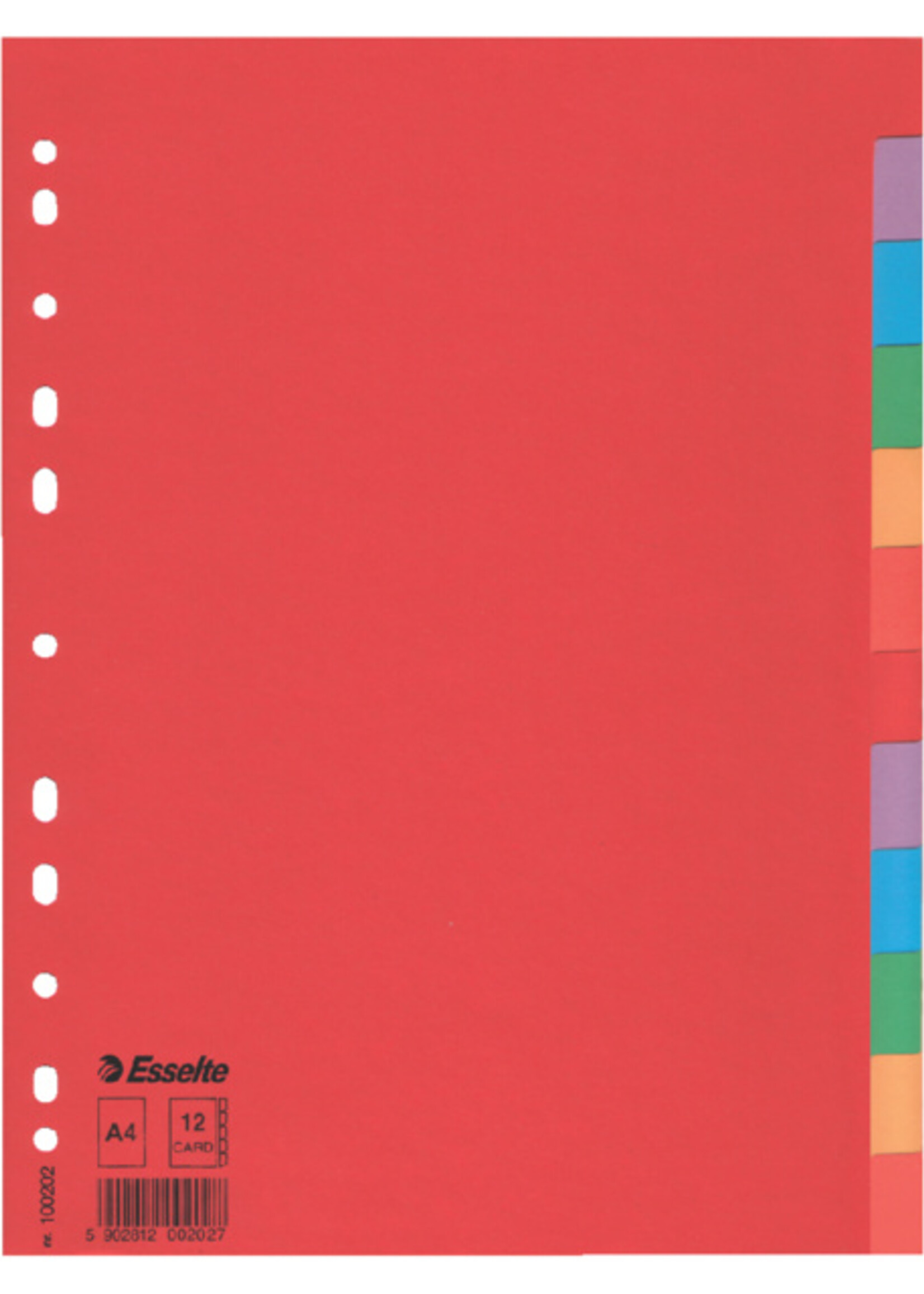 Esselte Esselte TABBLAD A4 11R KRT 12DLG