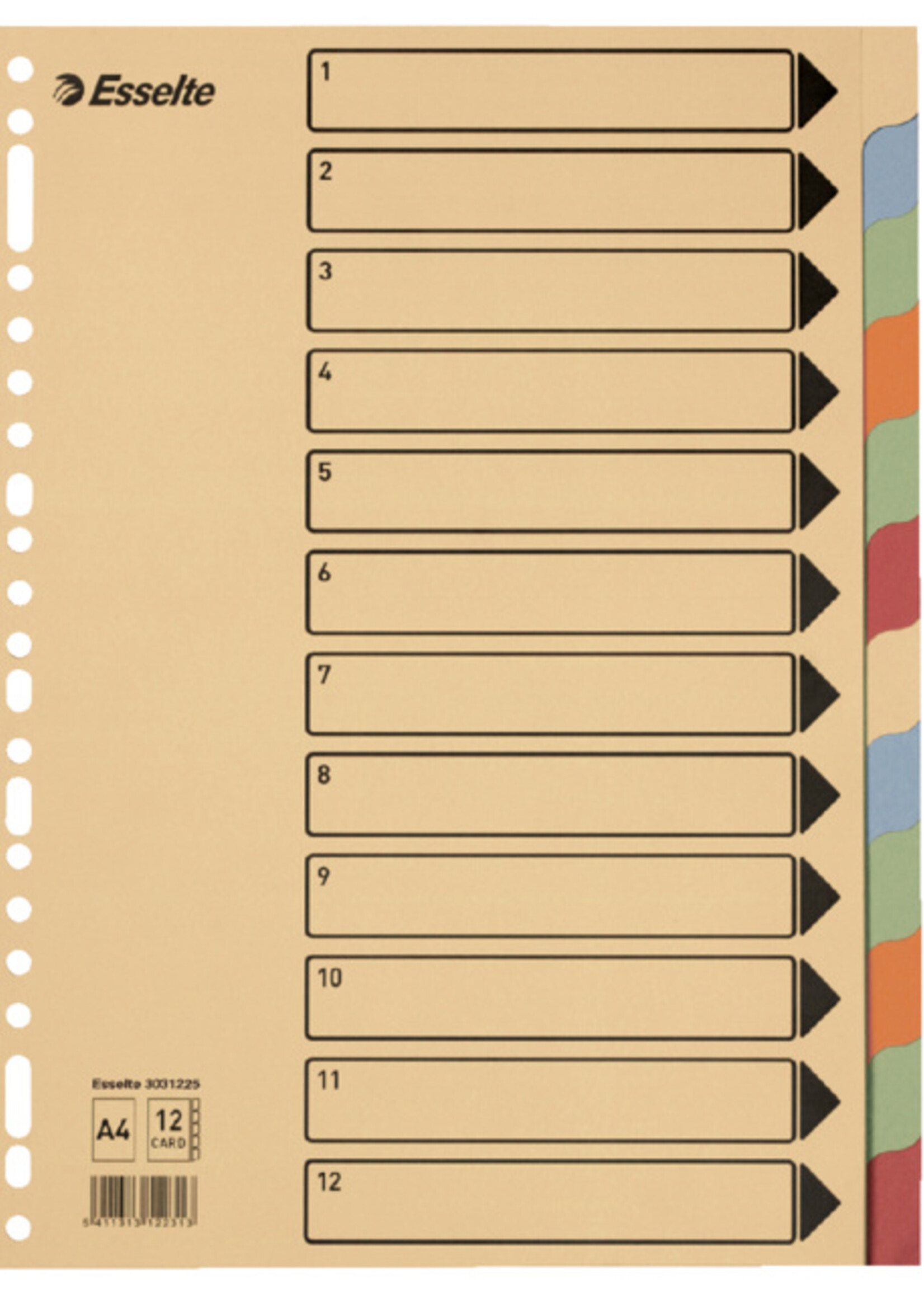 Esselte Esselte TABBLAD A4 23R KARTON 12DLG