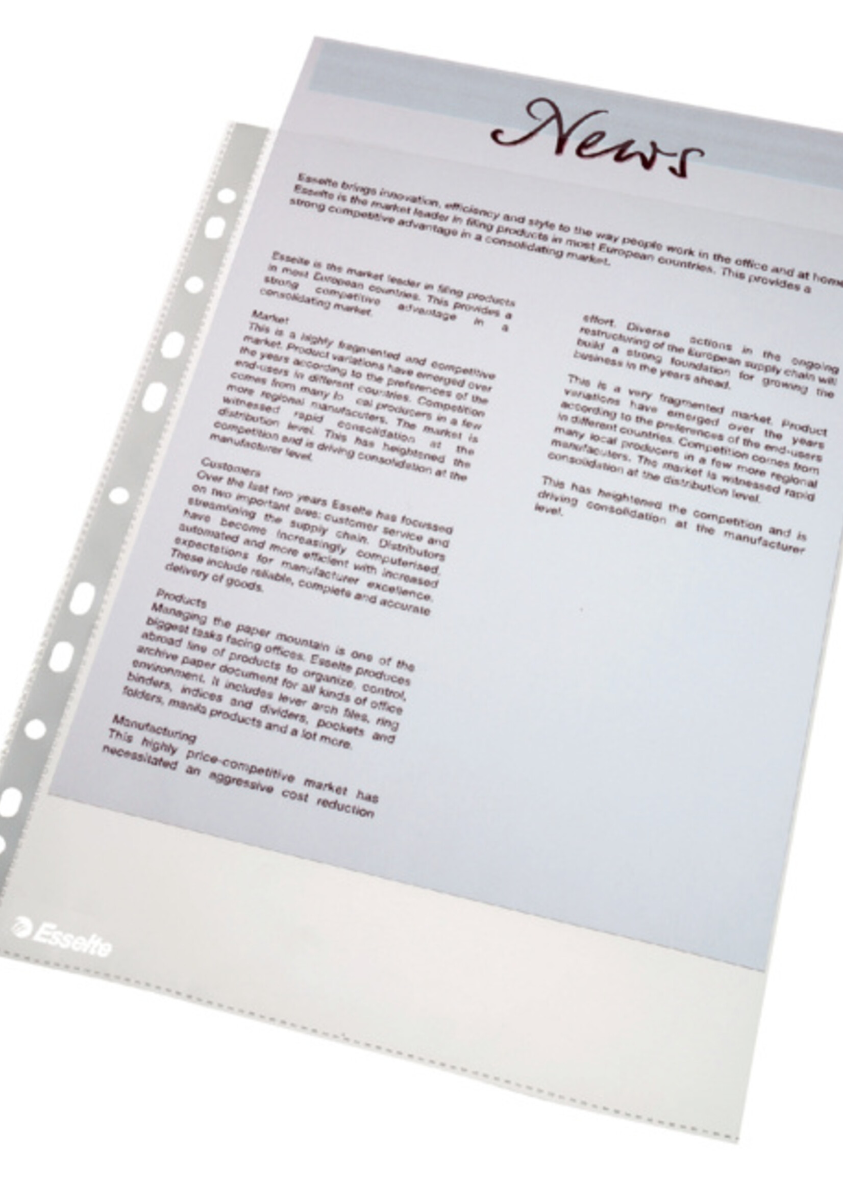 Esselte Esselte SHOWTAS 56133 ECON A4 PP 100STKS