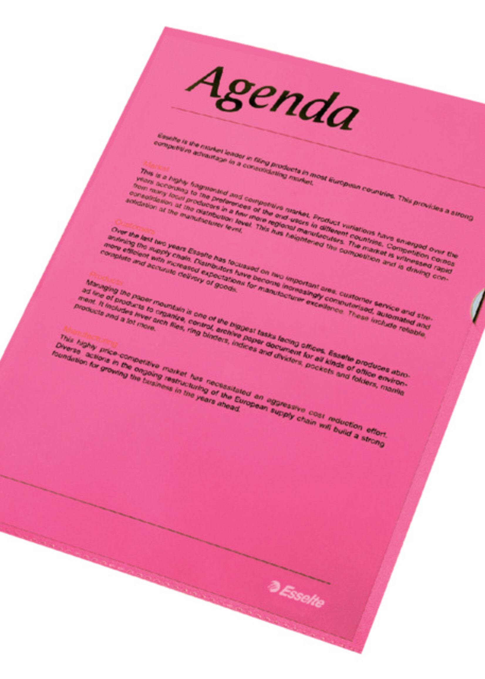 Esselte Esselte L-MAP STAND A4 PP RD 100STKS