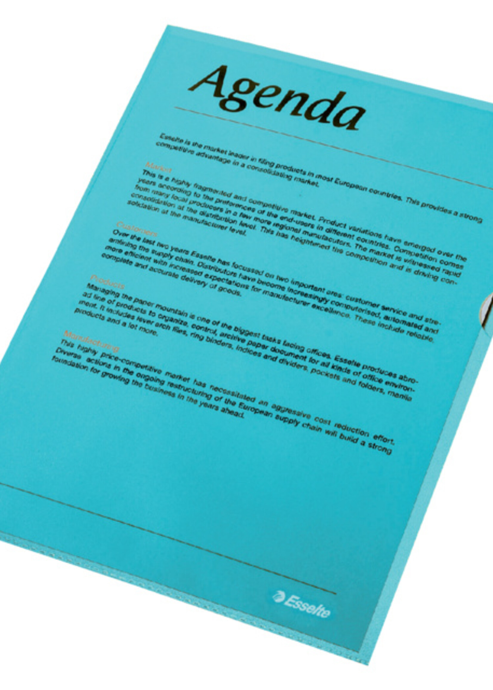 Esselte Esselte L-MAP STAND A4 PP BL 100STKS