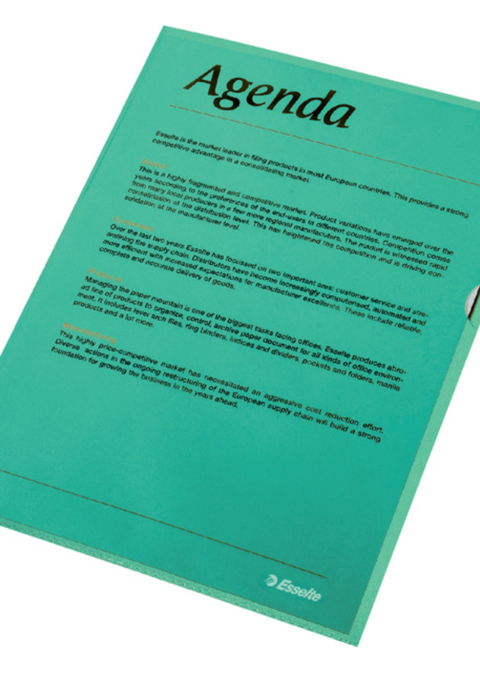 Esselte Esselte L-MAP STAND A4 PP GN 100STKS