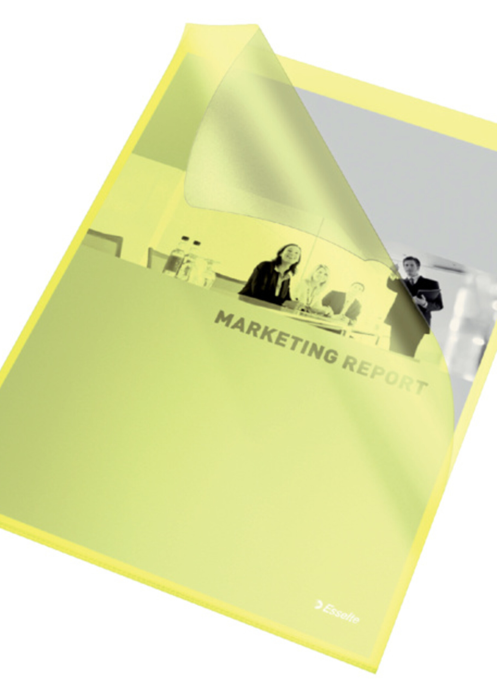 Esselte Esselte L-MAP STAND A4 PP GL 100STKS