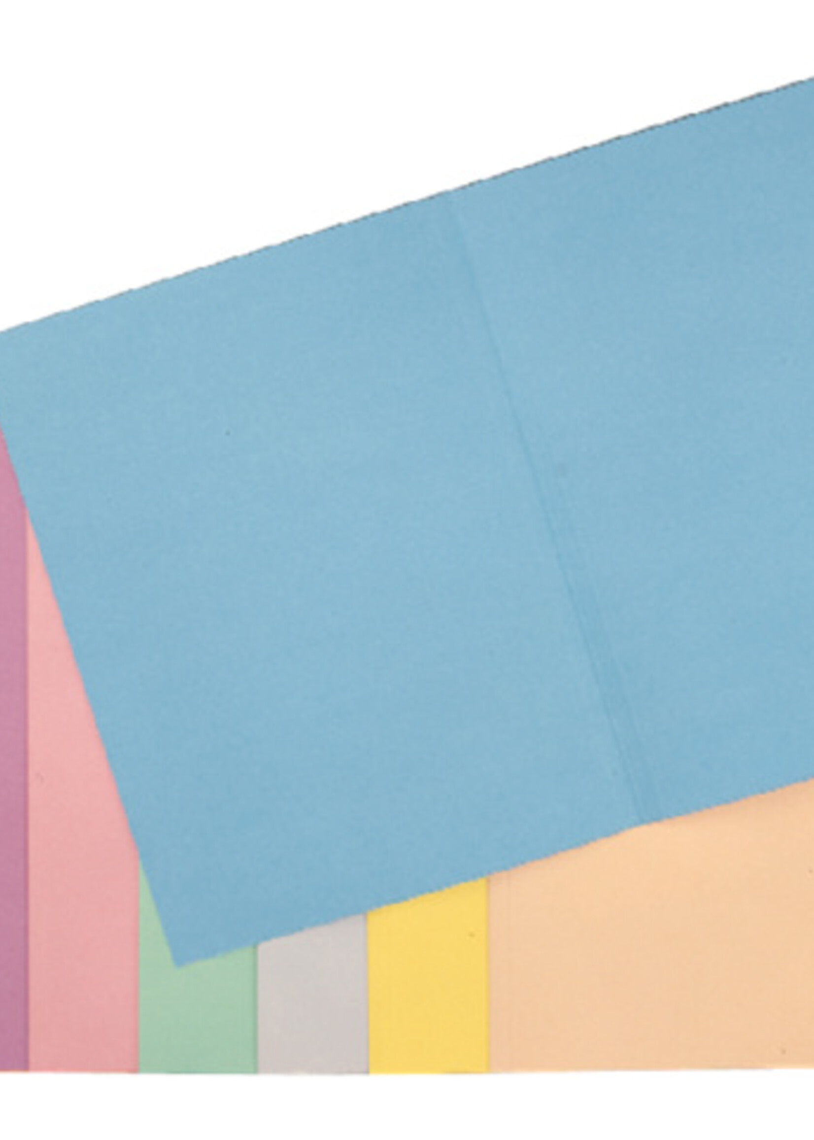 Esselte Esselte VOUWMAP A4 180GR BL