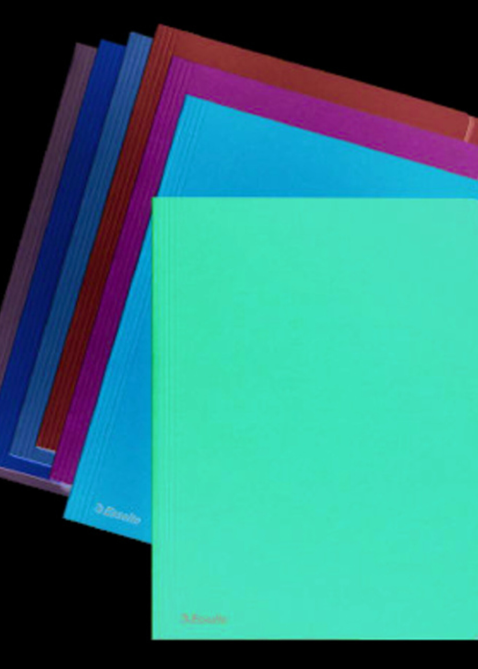 Esselte Esselte INLEGMAP OVERSLAG ZIJ BL