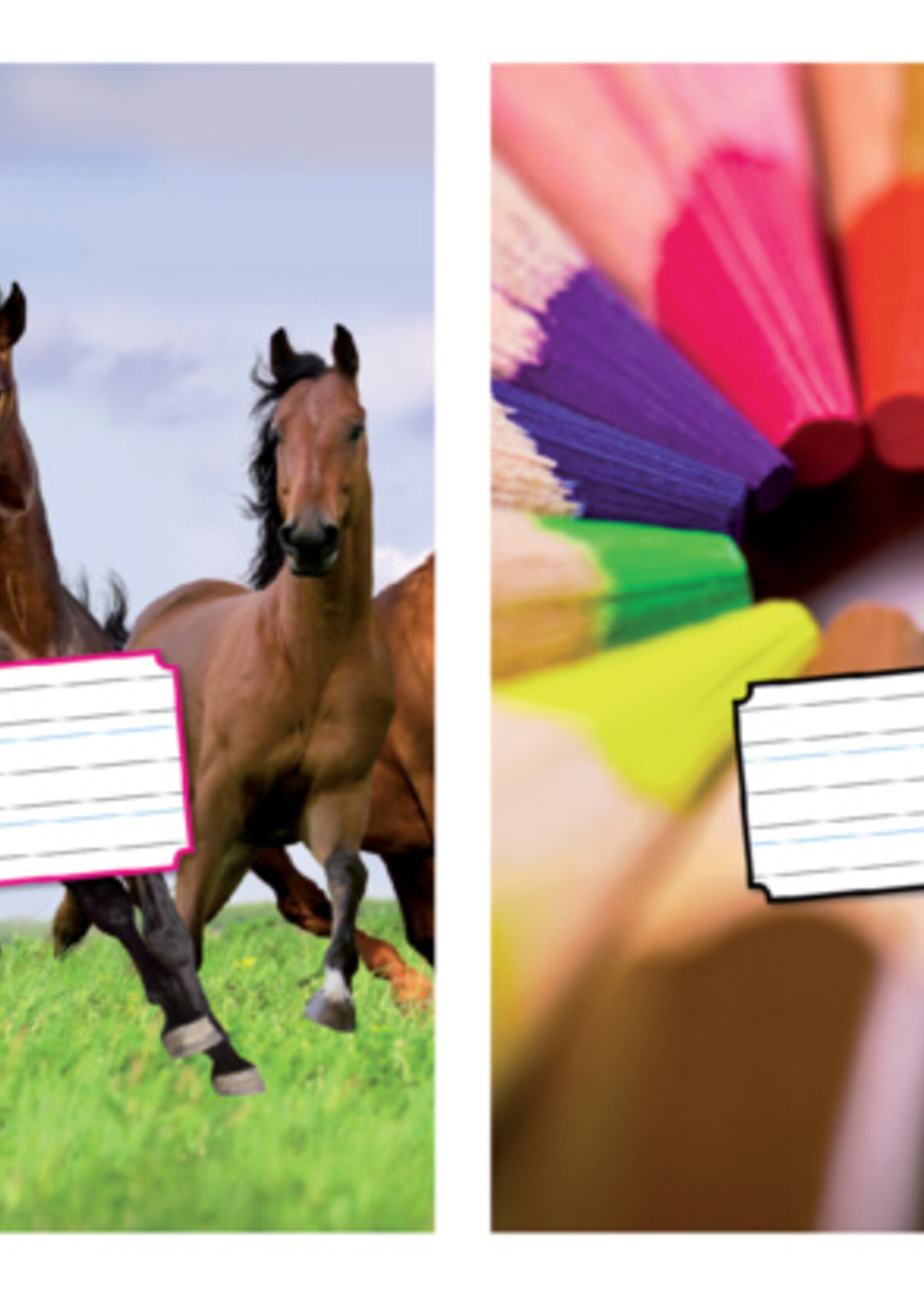 Kangaro Kangaro SCHRIFT KTC 210X165 LIJN 72BLZ 3STKS