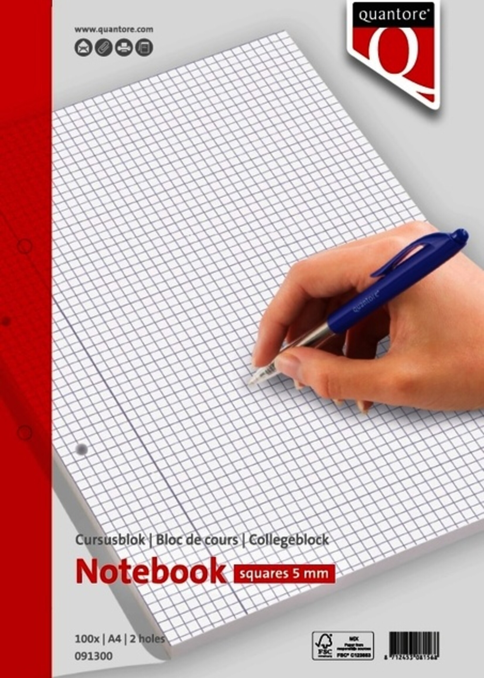 Quantore Quantore CURSUSBLOK A4 5MM BE