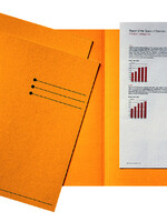 Esselte INLEGMAP KART GL