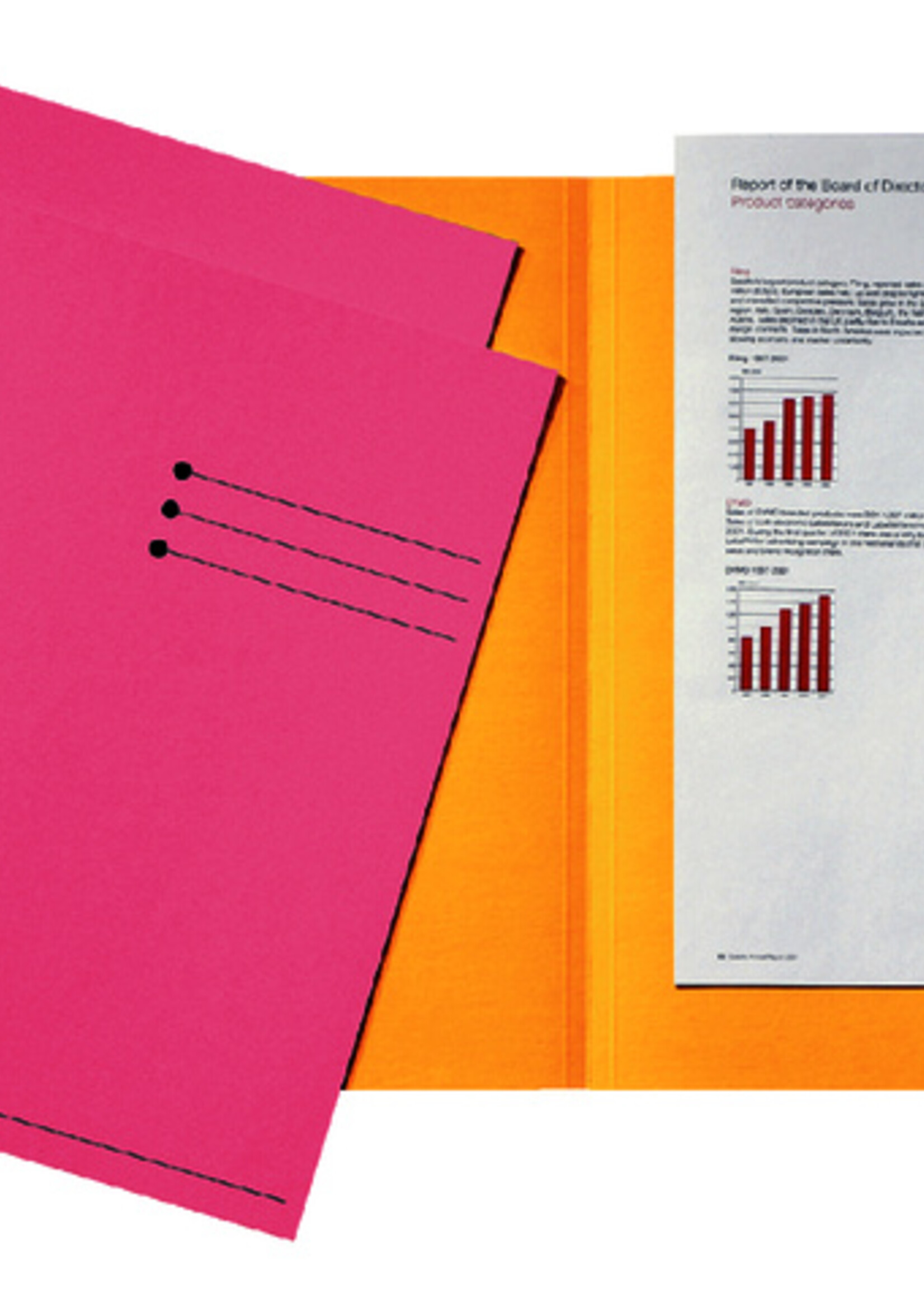 Esselte Esselte INLEGMAP KART RZ