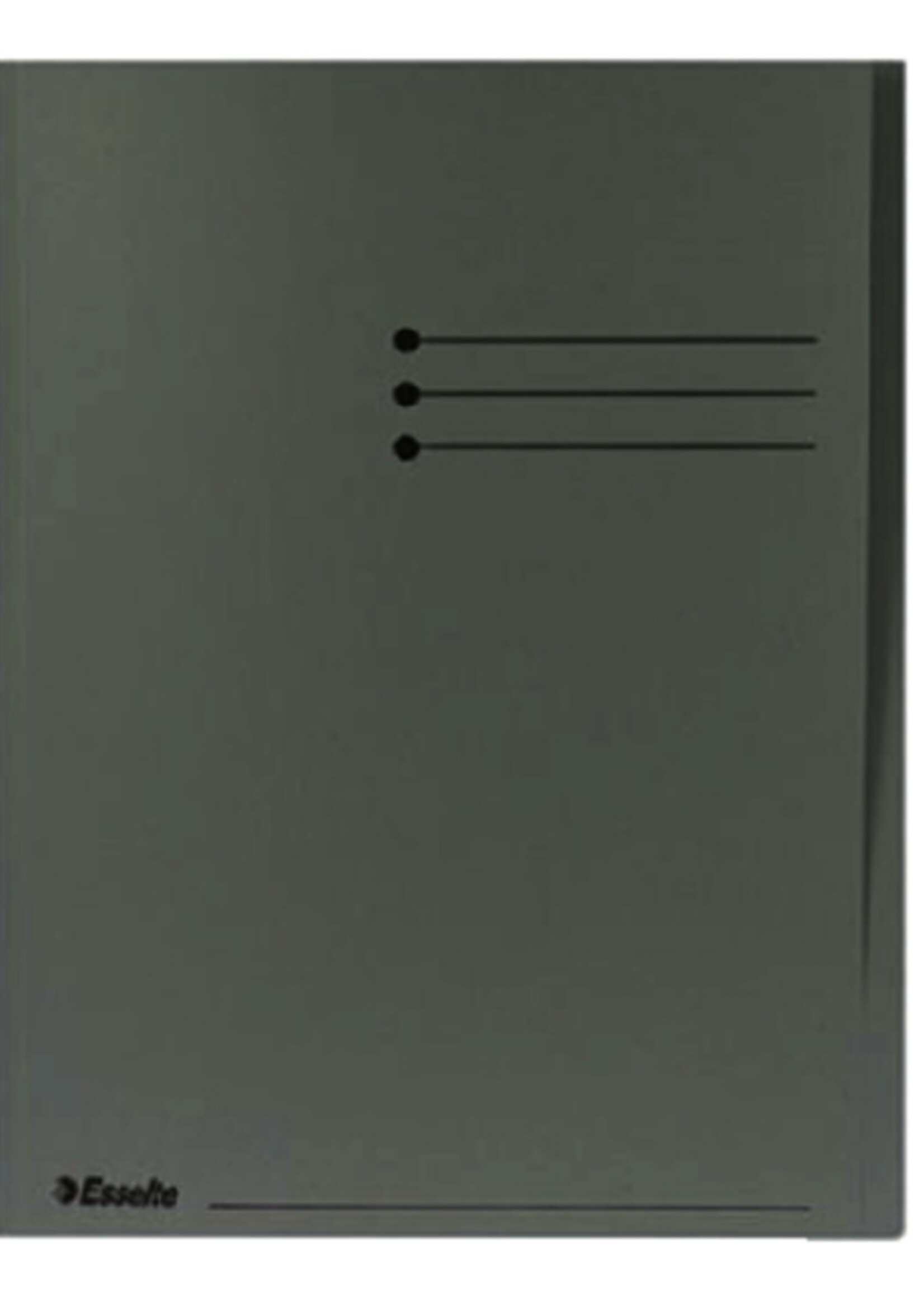 Esselte Esselte INLEGMAP KART GR