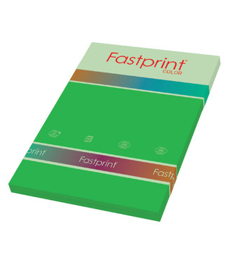 Fastprint KOPIEERPAPIER A4 160GR GRASGN 50VEL