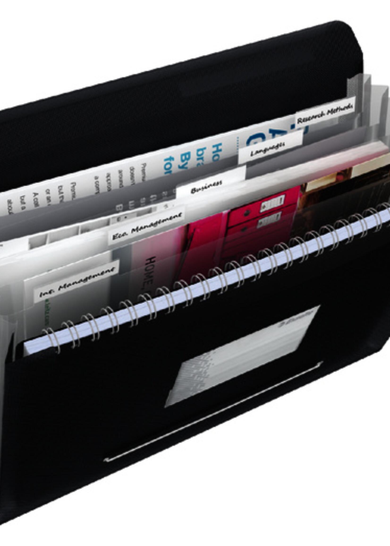 Esselte Esselte PROJECTMAP VIVIDA PP ZW 6-VAK