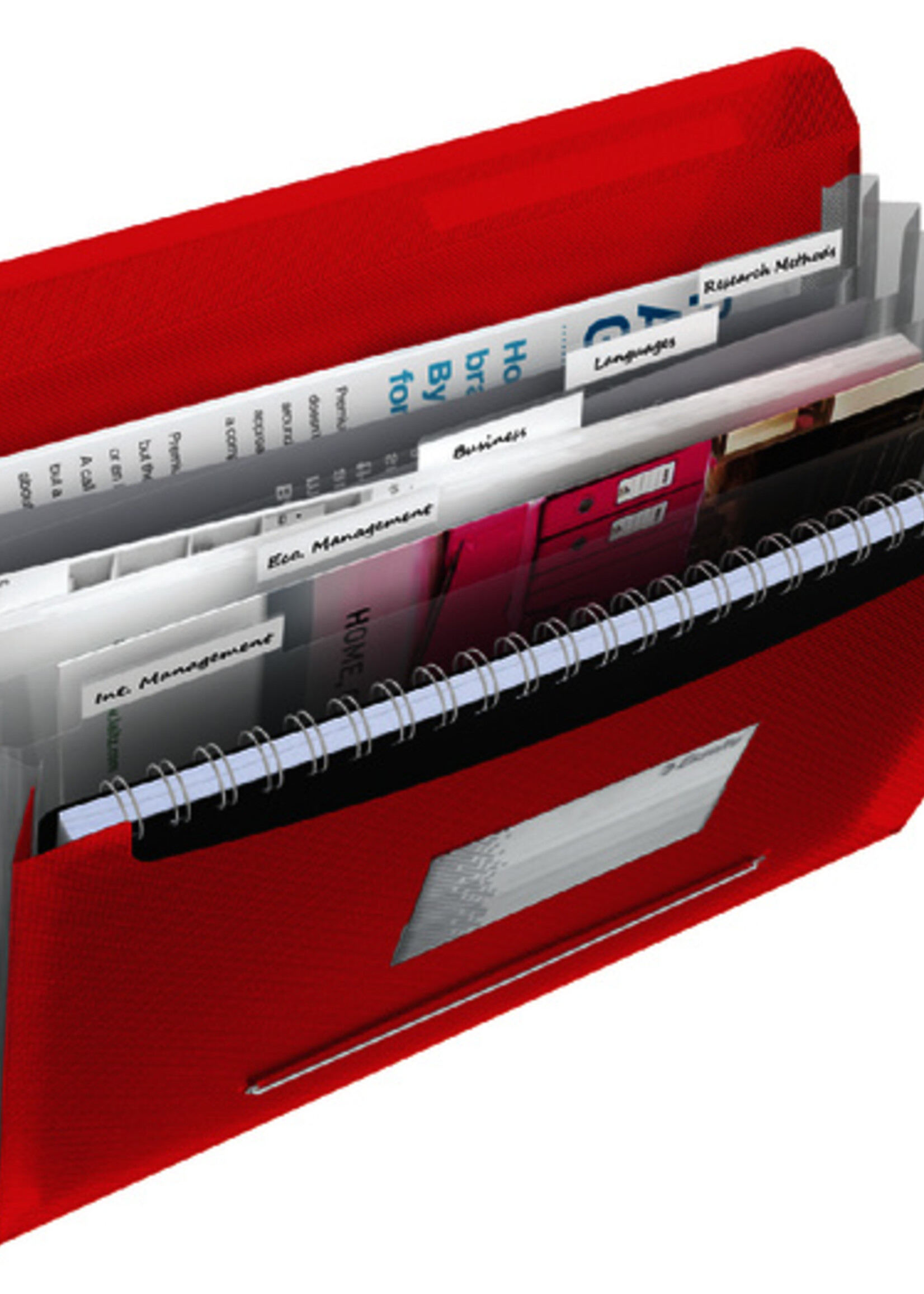 Esselte Esselte PROJECTMAP VIVIDA PP RD 6-VAK