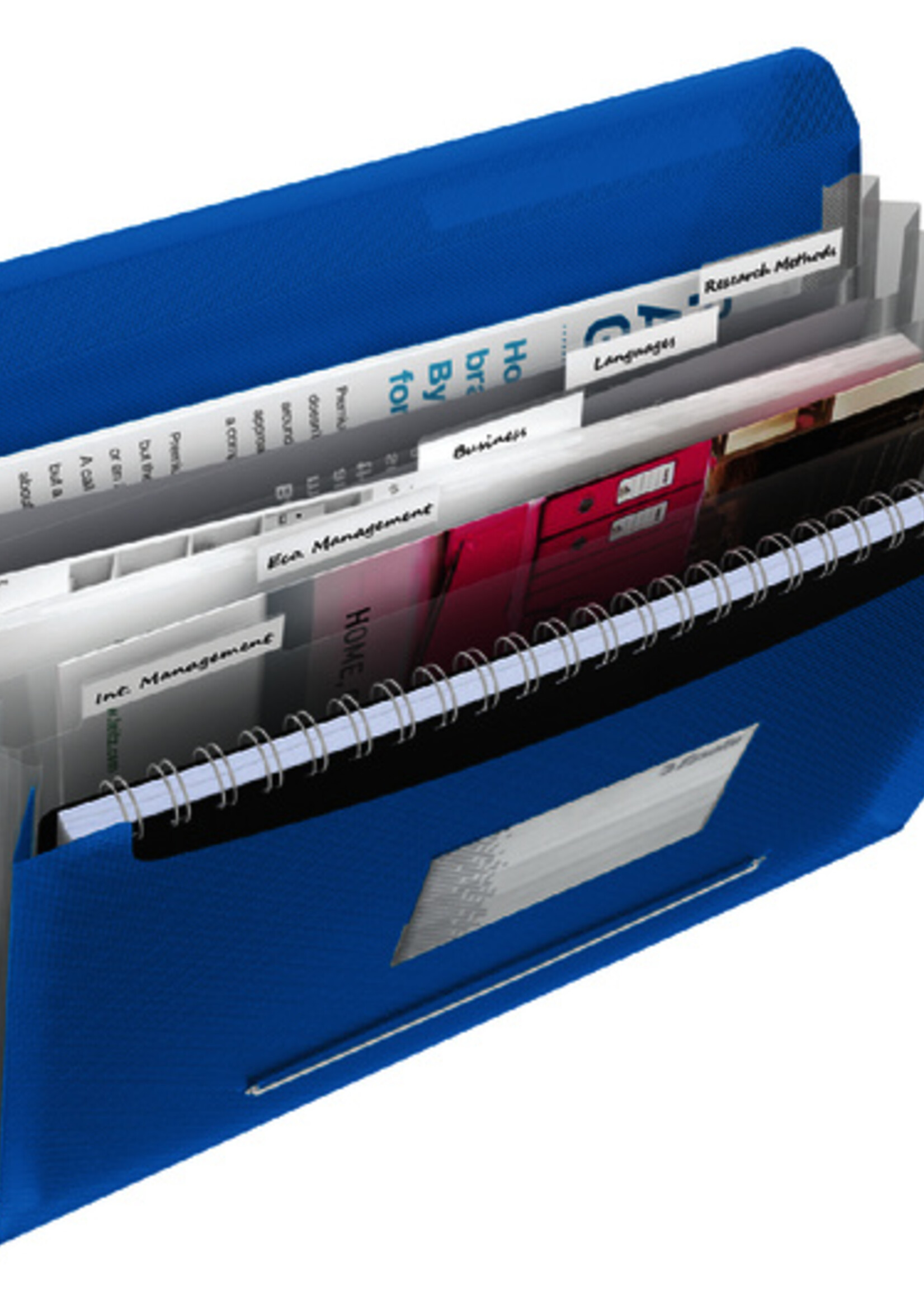 Esselte Esselte PROJECTMAP VIVIDA PP BL 6-VAK