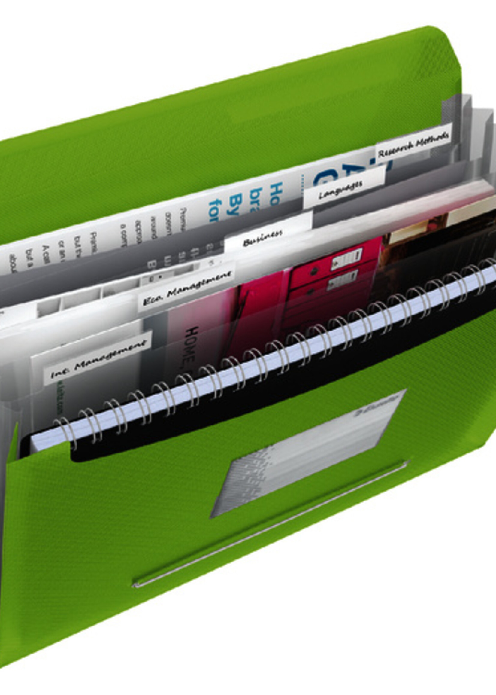 Esselte Esselte PROJECTMAP VIVIDA PP GN 6-VAK