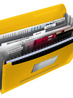 Esselte PROJECTMAP VIVIDA PP GL 6-VAK