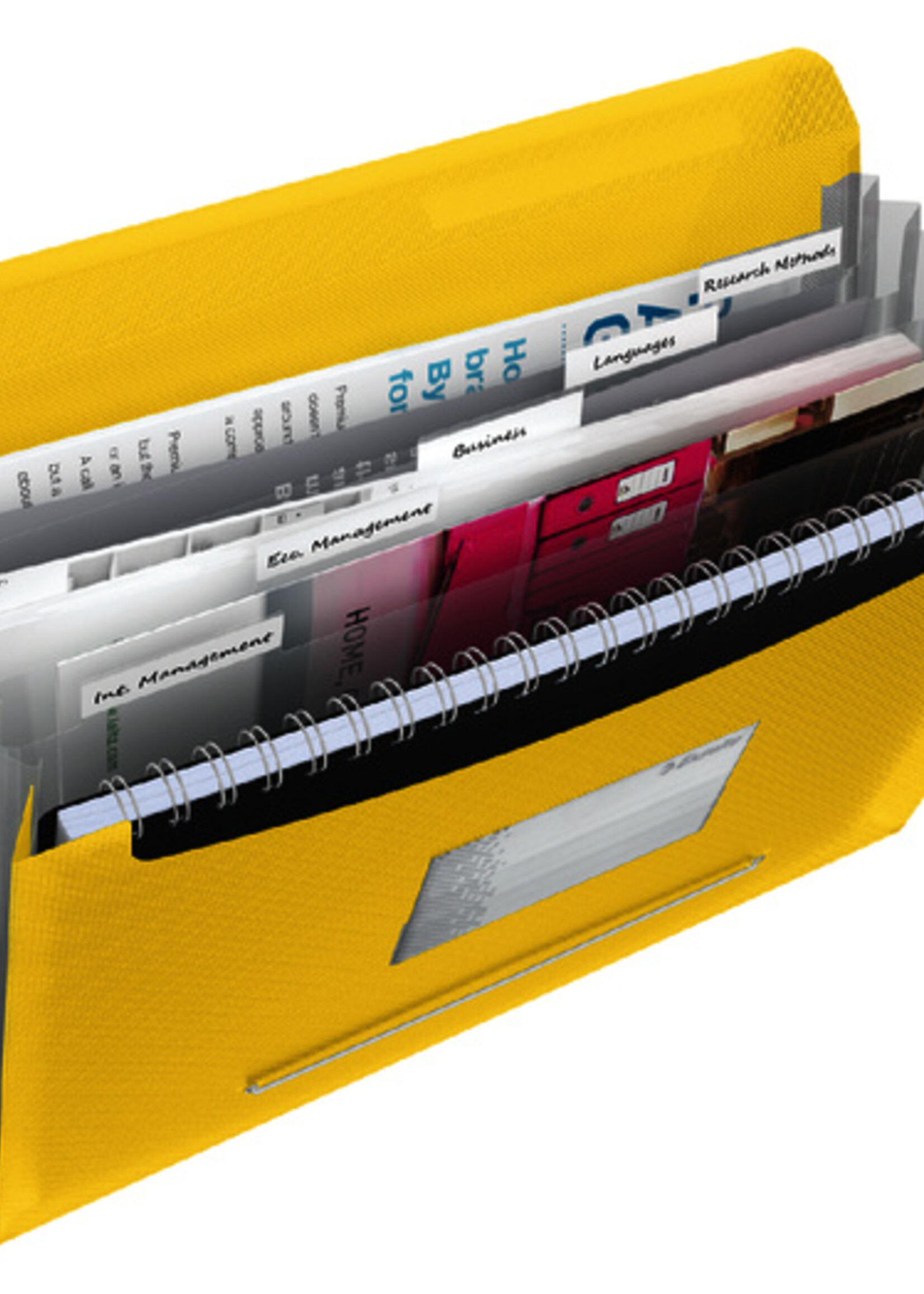 Esselte Esselte PROJECTMAP VIVIDA PP GL 6-VAK