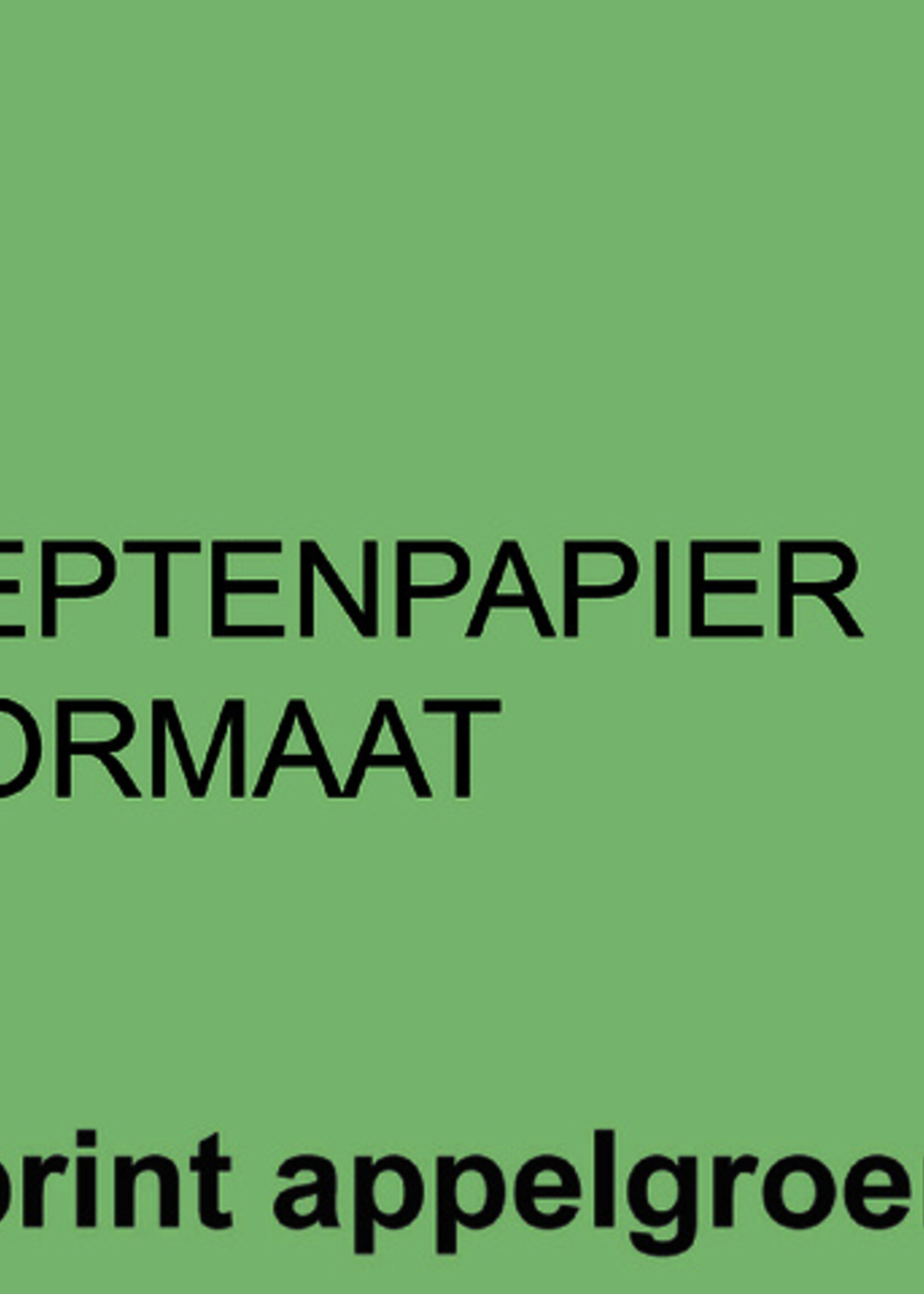 Fastprint Fastprint RECEPTPAPIER A6 80GR AGN 2000V