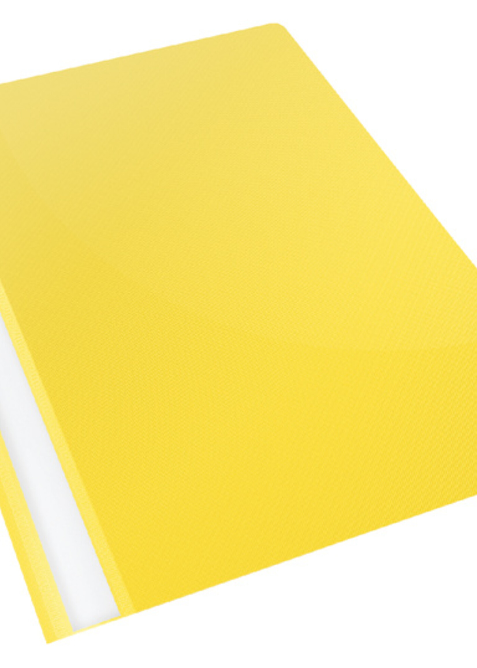 Esselte Esselte SNELHECHTER VIVIDA A4 PP GL