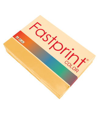 Fastprint KOPIEERPAPIER A4 80GR GDGL 500VEL