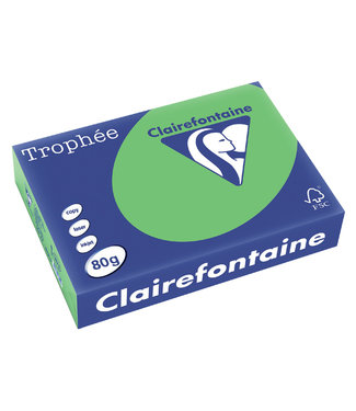 Trophee KOPIEERPAPIER A4 80GR GGN 500VEL