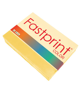 Fastprint KOPIEERPAPIER A4 120GR DGL 250VEL