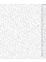 Tyvek ENVELOP MONSTER C4 55GR WT 100STKS
