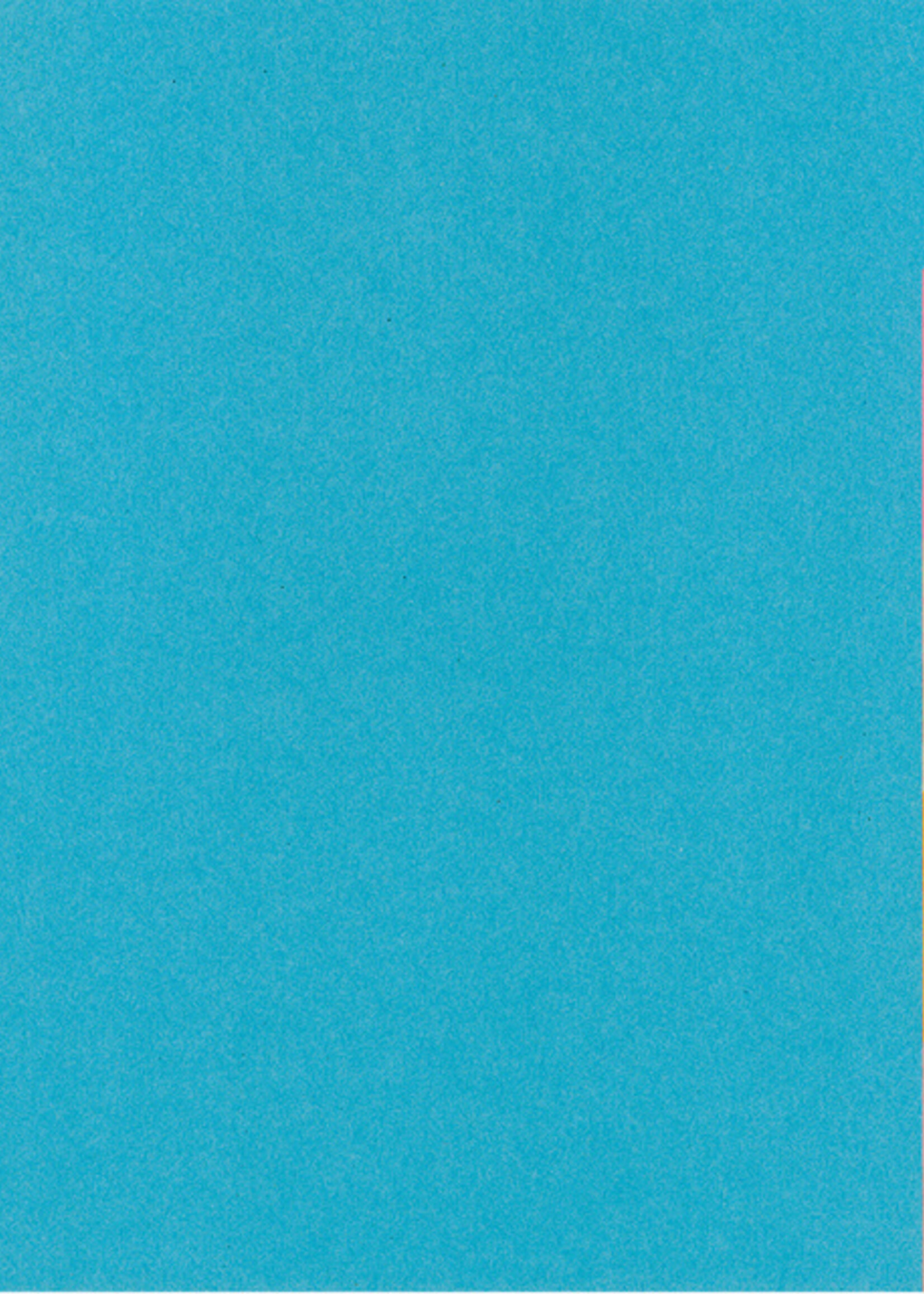 Kangaro Kangaro TABBLAD RY405M A4 23R 5DLG