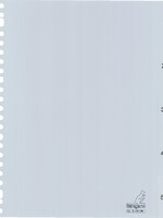 Kangaro TABBLAD G405CM A4 23R 5DLG