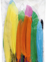 Folia Paper INDIANEN VEREN ASS