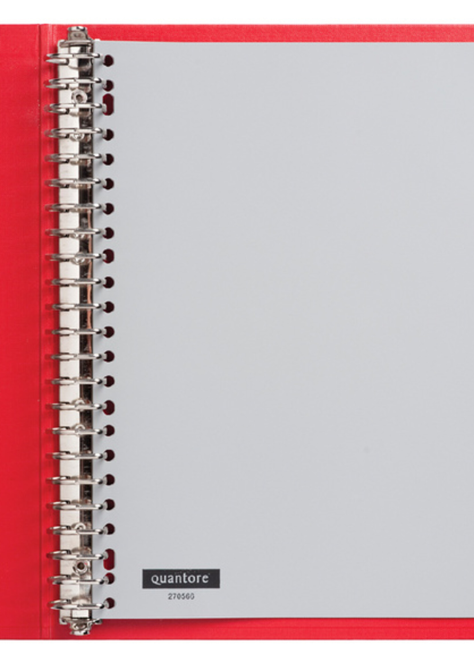 Quantore Quantore TABBLADEN 23R PP 1-10 GRIJS